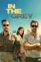 in-the-grey-2026