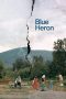 blue-heron-2026